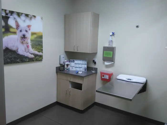 Vetco Total Care Animal Hospital Picture 8