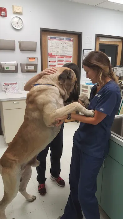 Claws & Paws Veterinary Hospital Picture 6