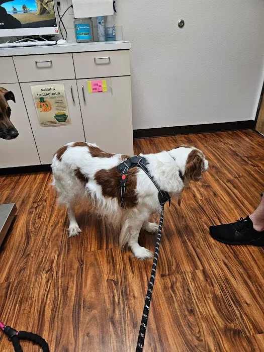 Claws & Paws Veterinary Hospital Picture 4