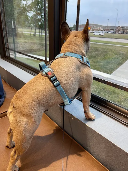 Deer Park Animal Hospital Picture 8