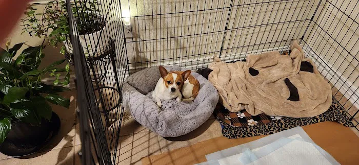 Underwood Animal Clinic Picture 7