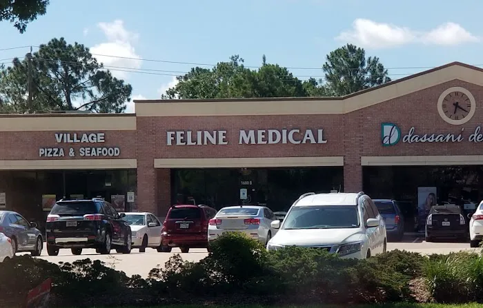Feline Medical Center Picture 3