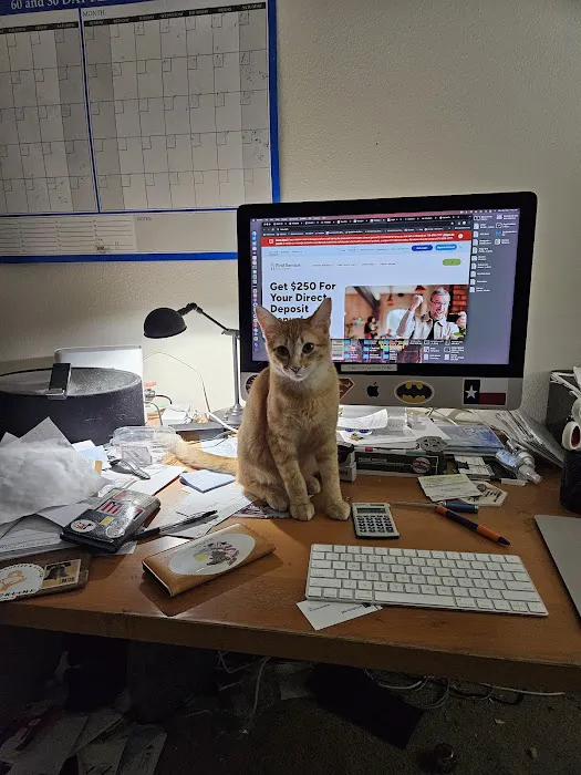 Feline Medical Center Picture 8