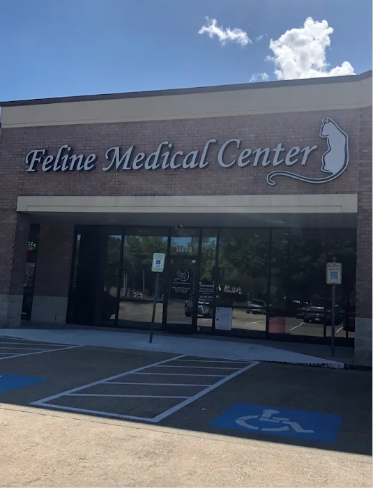 Feline Medical Center Picture 10