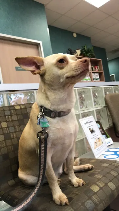 Bay Glen Animal Hospital Picture 3