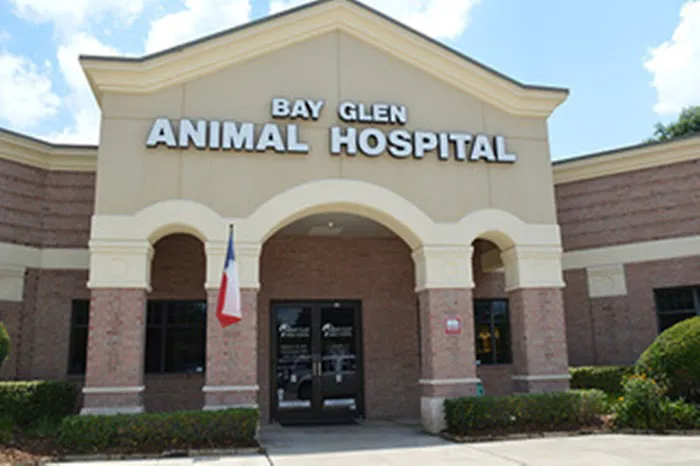 Bay Glen Animal Hospital Picture 4