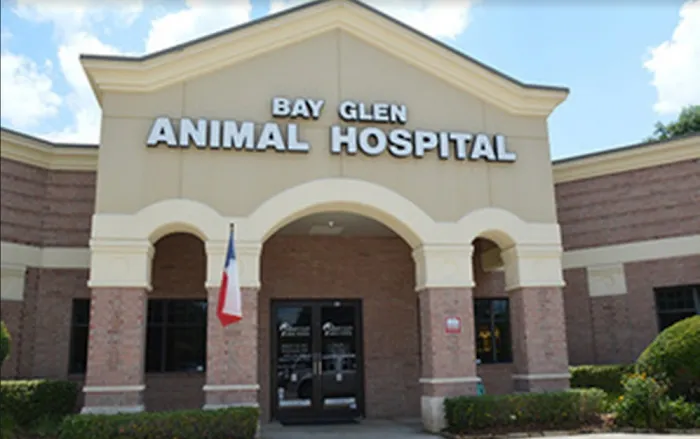Bay Glen Animal Hospital Picture 10