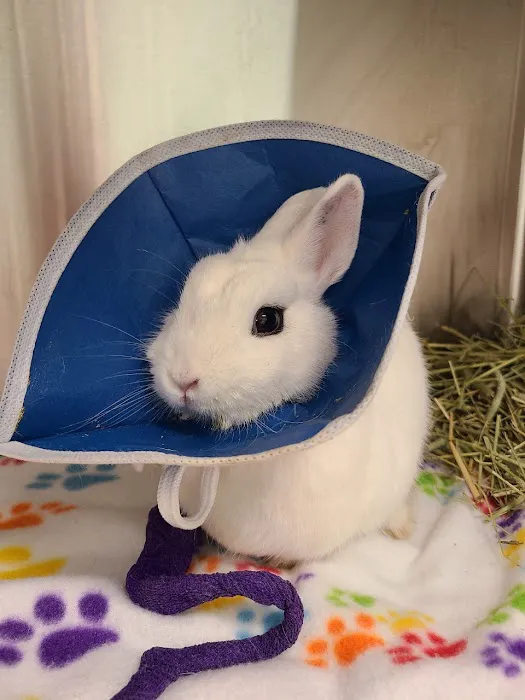 Safari Animal Hospital Picture 7