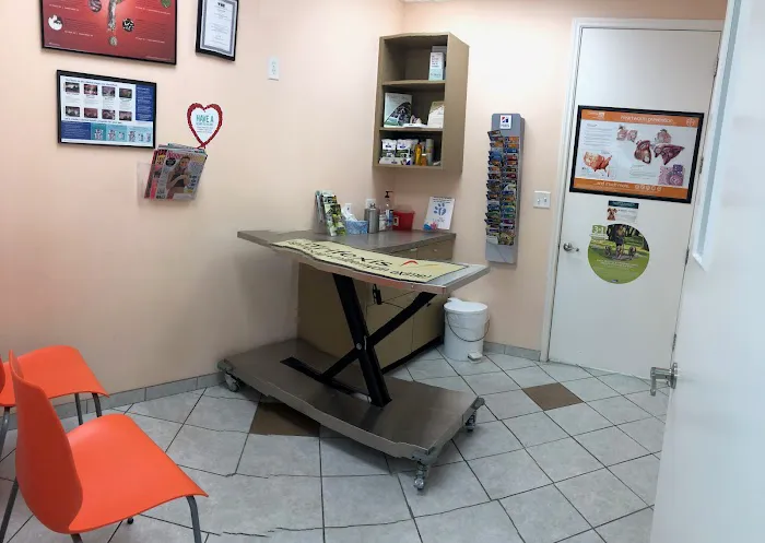 Citi Animal Hospital Picture 7