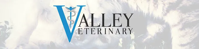 Valley Veterinary Care Picture 4