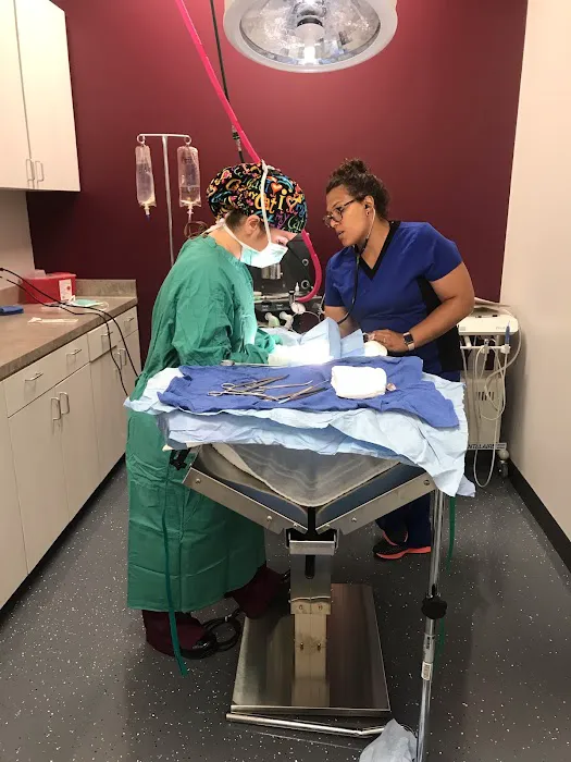 Above & Beyond Veterinary Hospital Picture 8