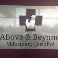 Above & Beyond Veterinary Hospital ico