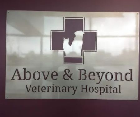 Above & Beyond Veterinary Hospital