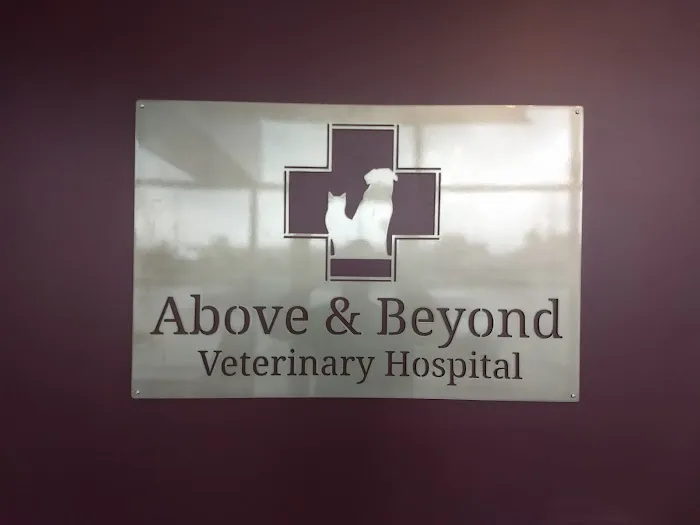 Above & Beyond Veterinary Hospital Picture 4