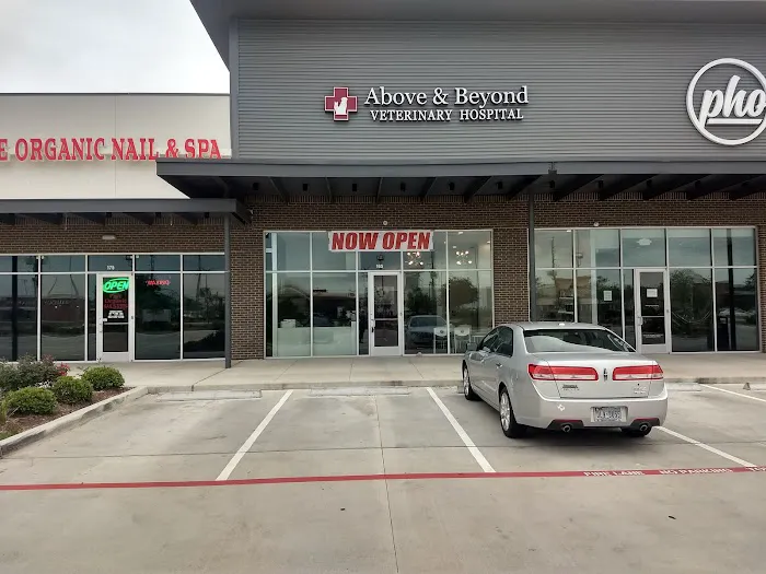 Above & Beyond Veterinary Hospital Picture 6