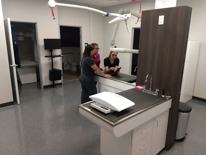 Above & Beyond Veterinary Hospital Picture 9