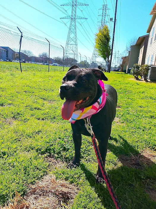 Houston Humane Society Animal Clinic Picture 6