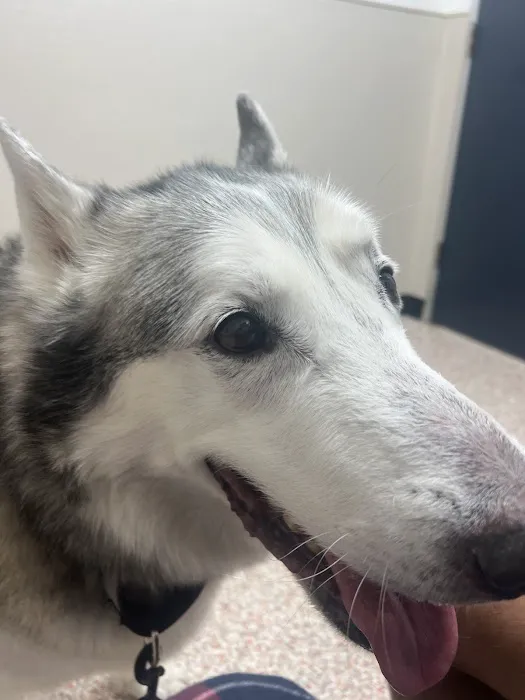 Houston Humane Society Animal Clinic Picture 1