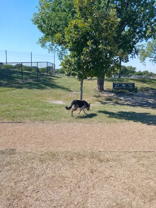 Houston Humane Society Animal Clinic Picture 9