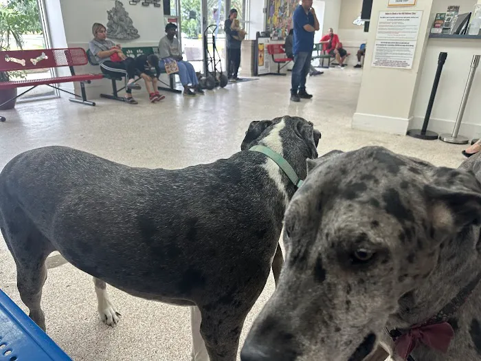 Houston Humane Society Animal Clinic Picture 10