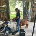 Tri-County Vet Services