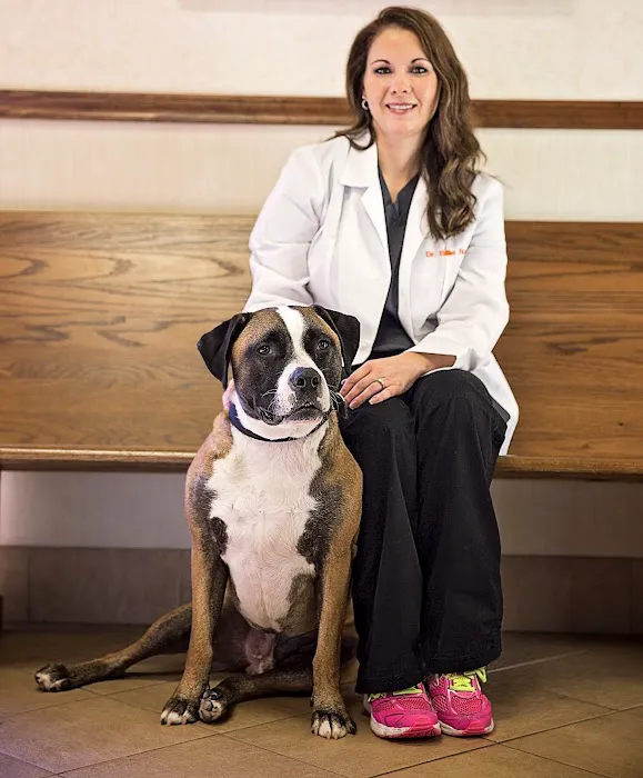 Advanced Pet Care of Clear Lake Picture 9