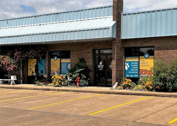 Advanced Pet Care of Clear Lake Picture 2