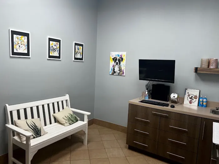 Advanced Pet Care of Clear Lake Picture 4