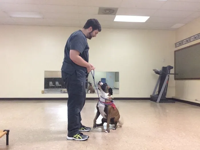 Advanced Pet Care of Clear Lake Picture 6