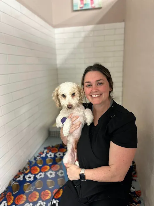 Advanced Pet Care of Clear Lake Picture 8