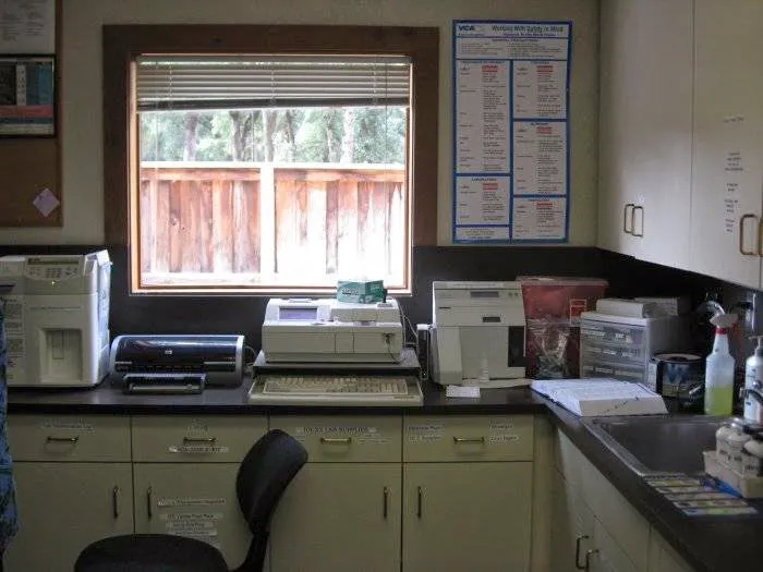 VCA Sacramento Animal Medical Group Picture 3
