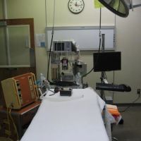 VCA Sacramento Animal Medical Group ico