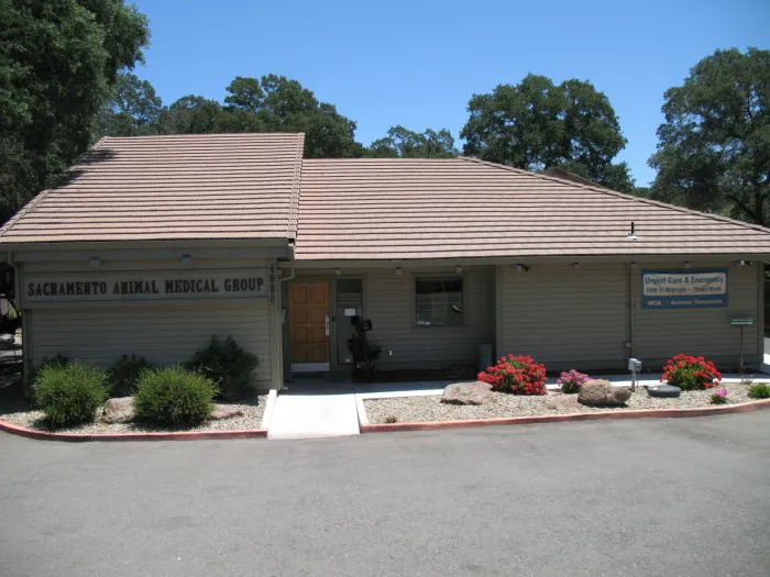 VCA Sacramento Animal Medical Group Picture 5