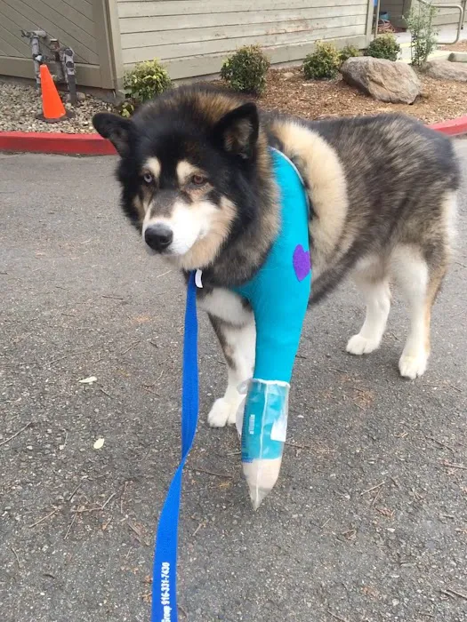 VCA Sacramento Animal Medical Group Picture 9