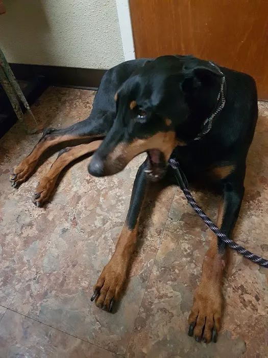 Family Friends Veterinary Hospital Picture 1