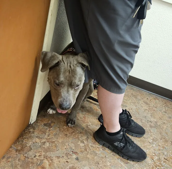 Family Friends Veterinary Hospital Picture 7