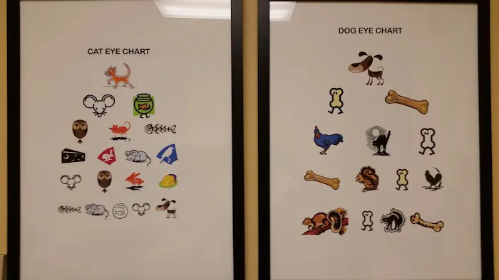 Animal Vision Center Picture 1