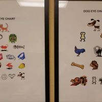 Animal Vision Center ico