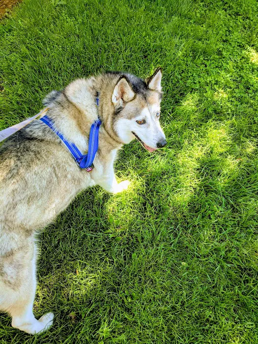 Animal Vision Center Picture 10