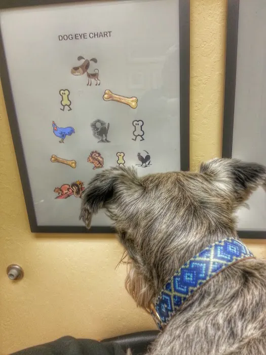 Animal Vision Center Picture 2