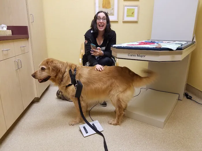 Animal Vision Center Picture 7