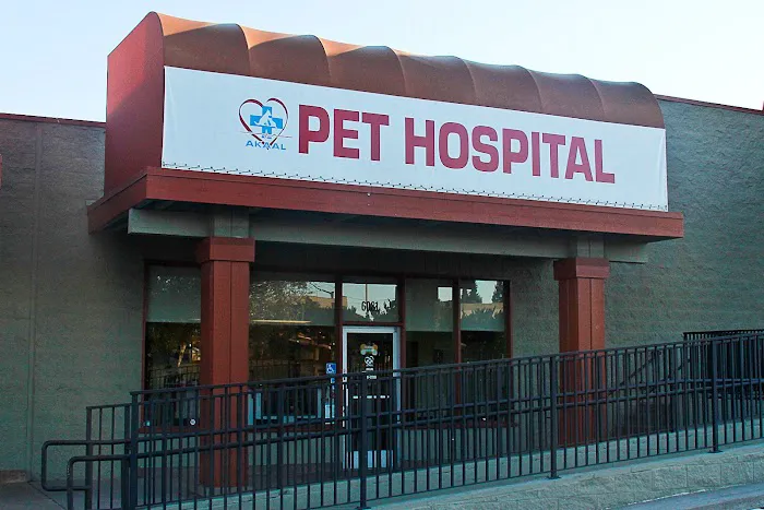 Akaal Pet Hospital Picture 6