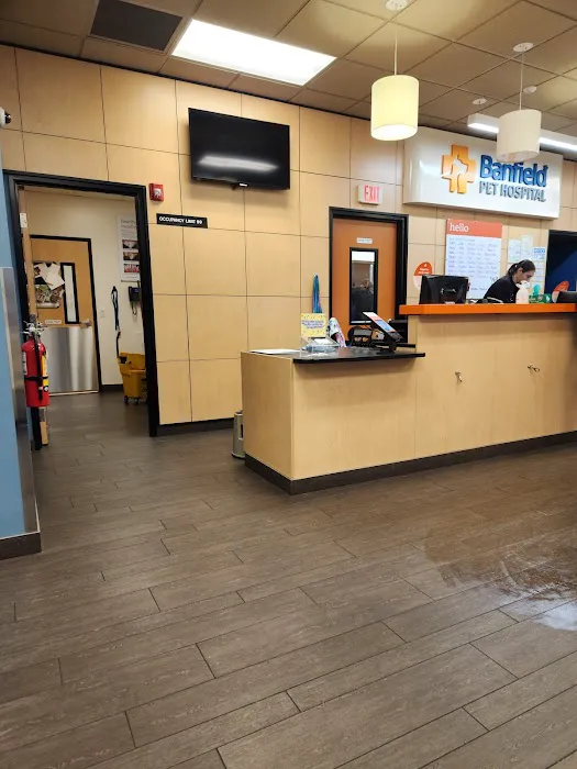 Banfield Pet Hospital Picture 7