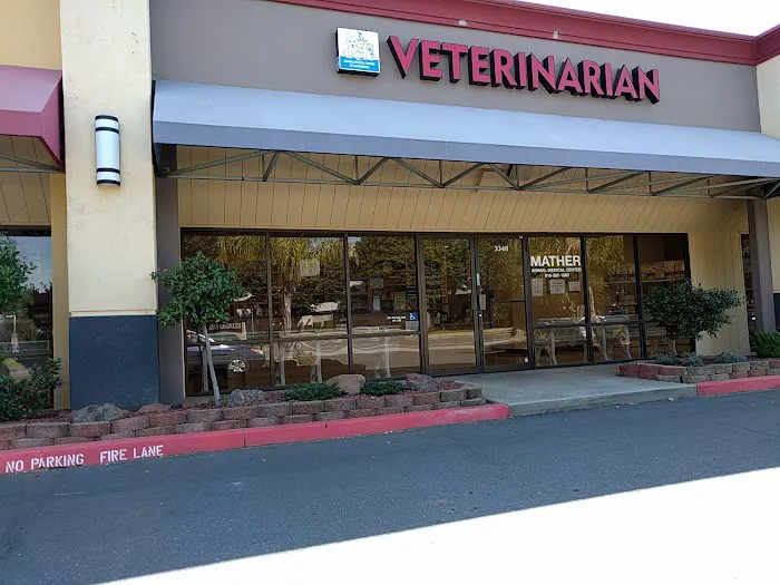 VCA Mather Animal Medical Center Picture 4