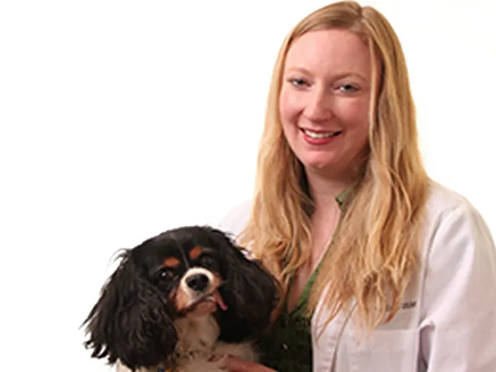 VCA Cordova Veterinary Dentistry Center Picture 1