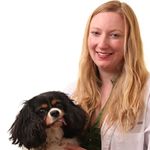 VCA Cordova Veterinary Dentistry Center