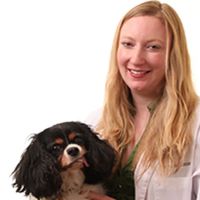 VCA Cordova Veterinary Dentistry Center ico