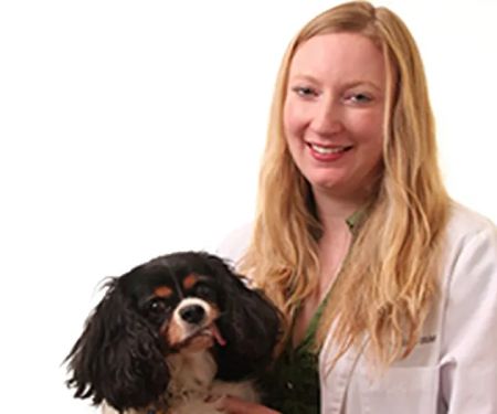 VCA Cordova Veterinary Dentistry Center
