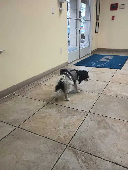 VCA Cordova Veterinary Dentistry Center Picture 5