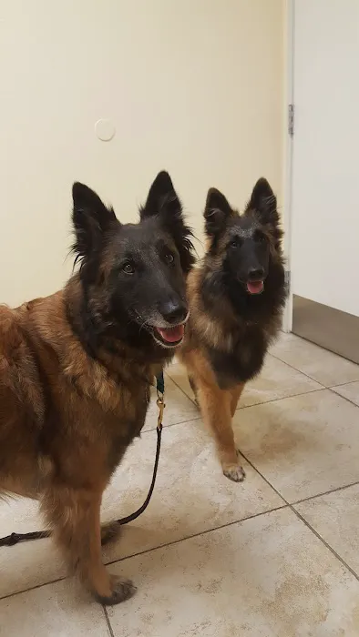 Cordova Veterinary Hospital: Thomas Lori DVM Picture 3